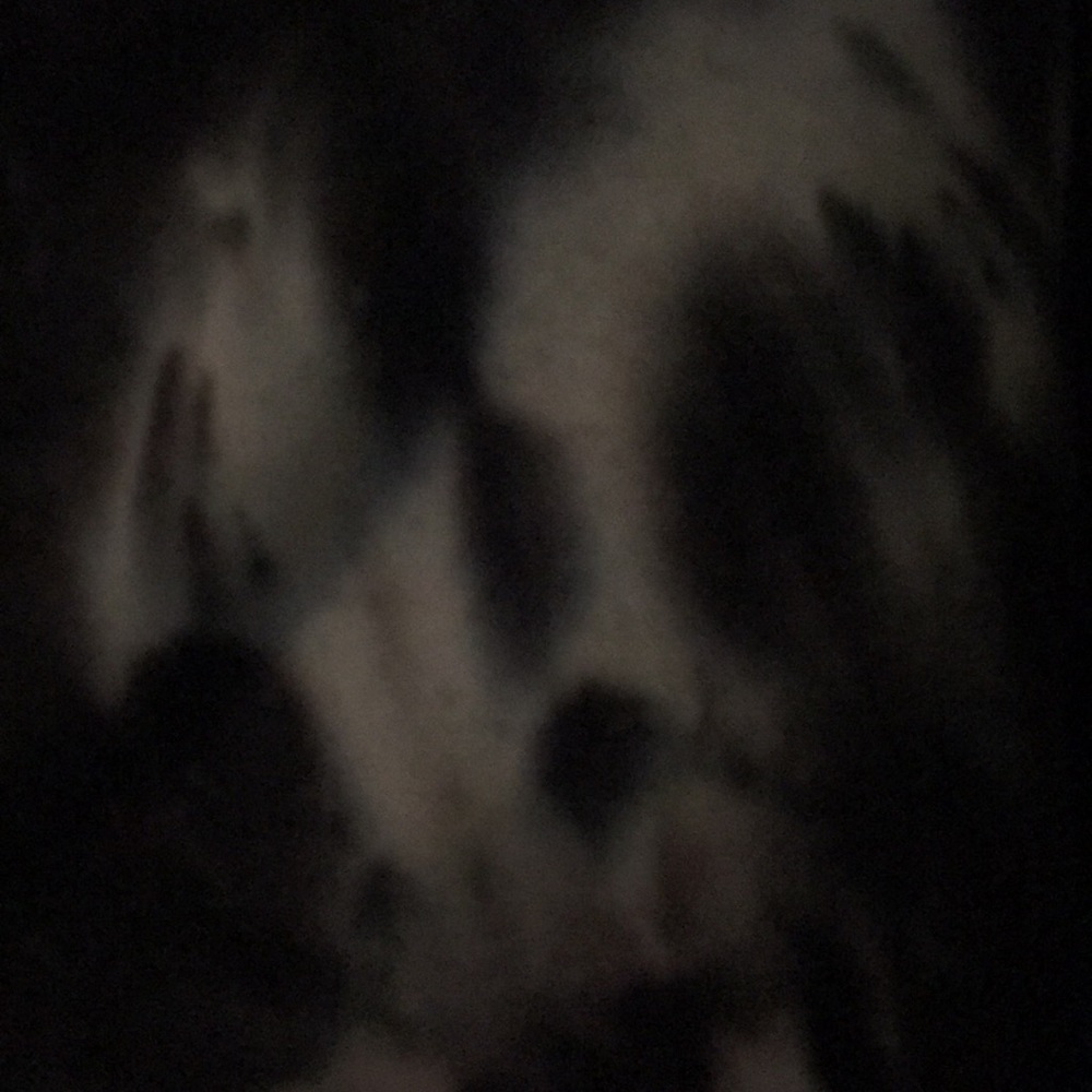 Meet your Posher, Brooklyn